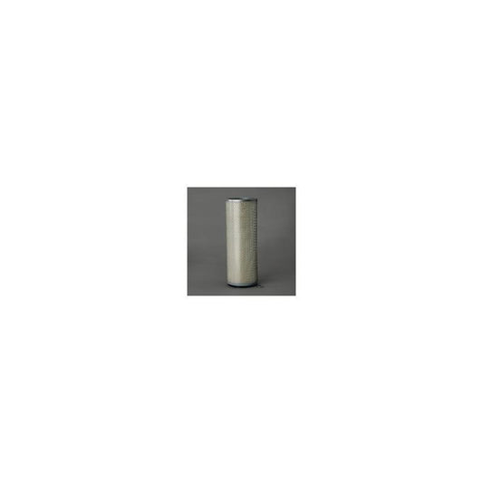 Donaldson P607259 Air Filter