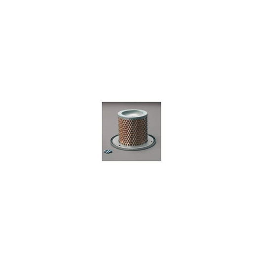 Donaldson P783501 Air Filter