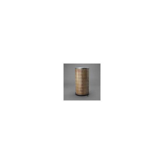 Donaldson P607365 Air Filter