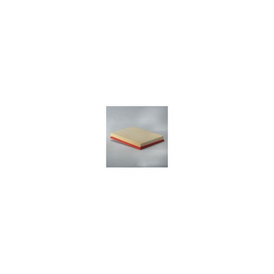 Donaldson P606062 Air Filter