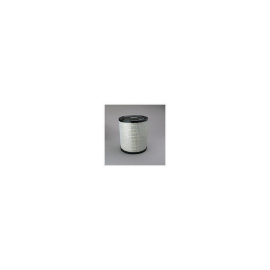 Donaldson P527682 Air Filter