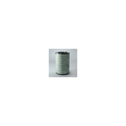 Donaldson P786829 Air Filter