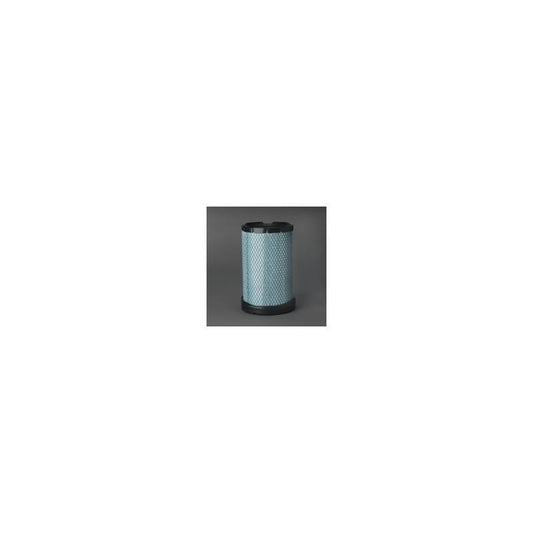 Donaldson P603757 Air Filter