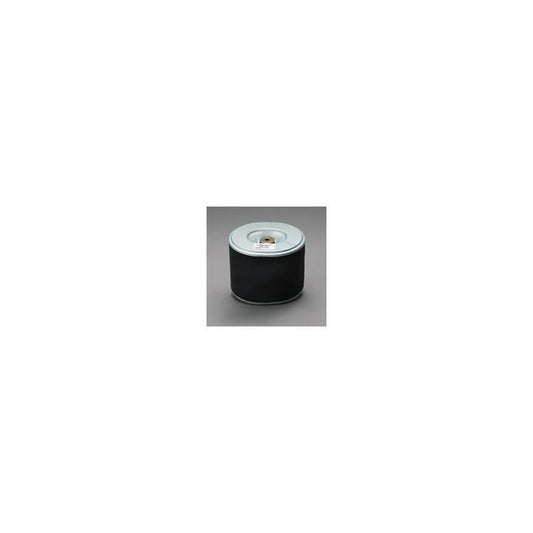 Donaldson P607254 Air Filter