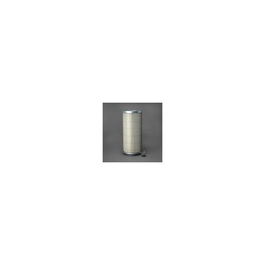 Donaldson P607098 Air Filter