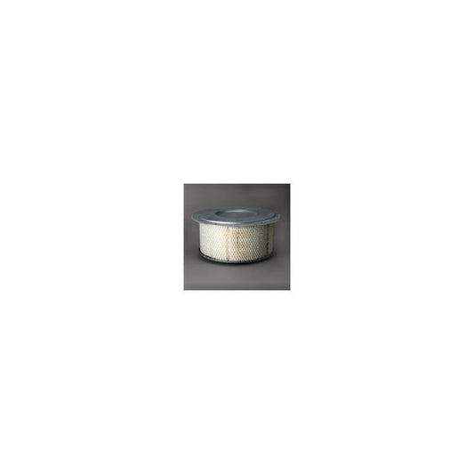 Donaldson P607260 Air Filter