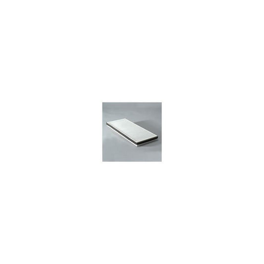 Donaldson P787438 Air Filter