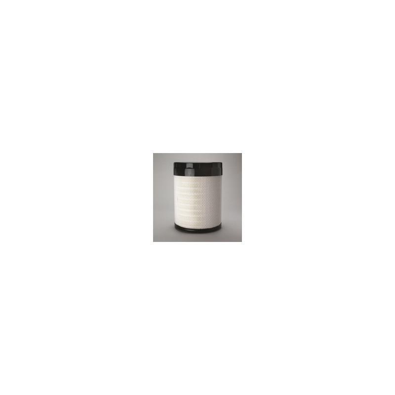 Donaldson P786197 Air Filter