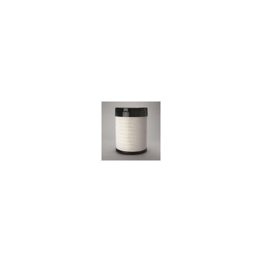 Donaldson P786197 Air Filter