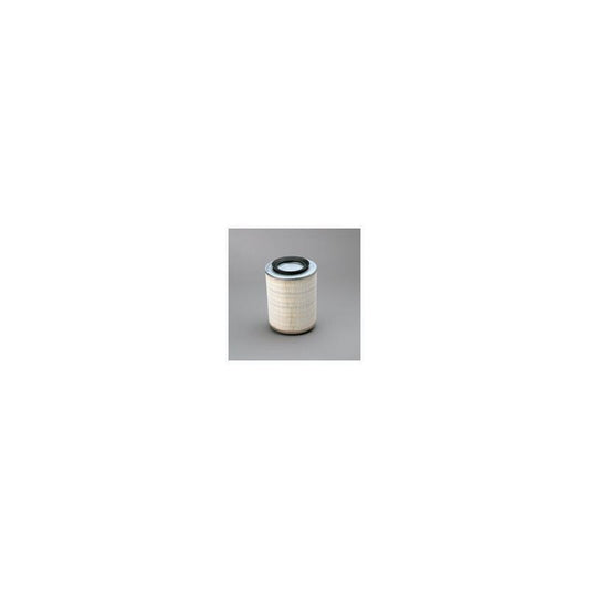 Donaldson P500014 Air Filter