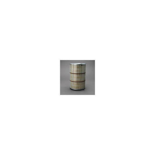 Donaldson P607359 Air Filter