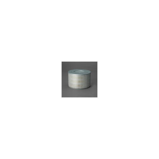 Donaldson P500125 Air Filter
