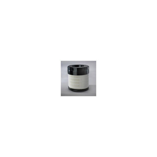Donaldson P783543 Air Filter