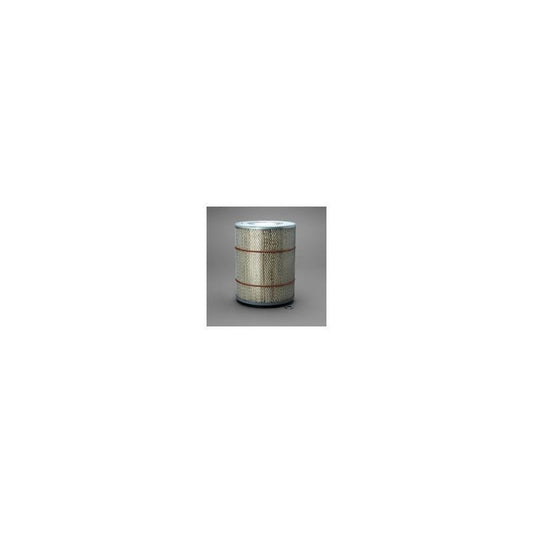 Donaldson P607266 Air Filter