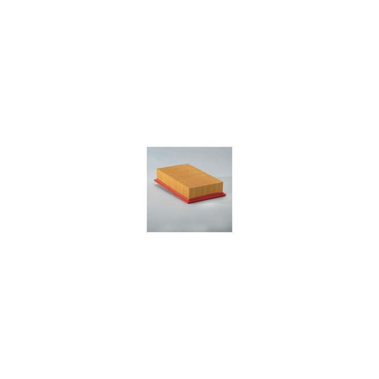 Donaldson P607258 Air Filter