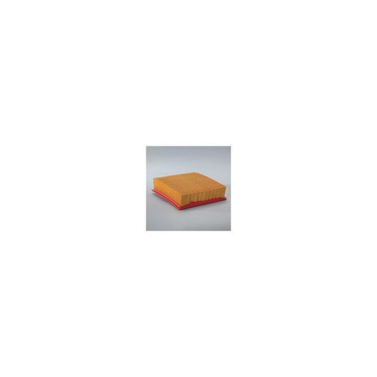 Donaldson P622149 Air Filter