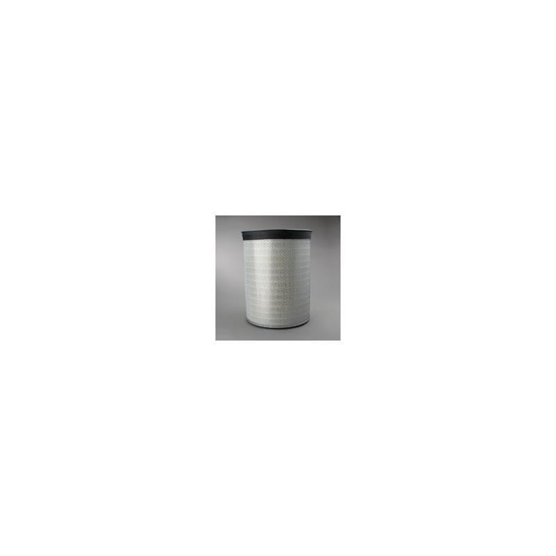 Donaldson P181038 Air Filter