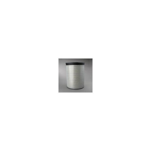 Donaldson P181038 Air Filter