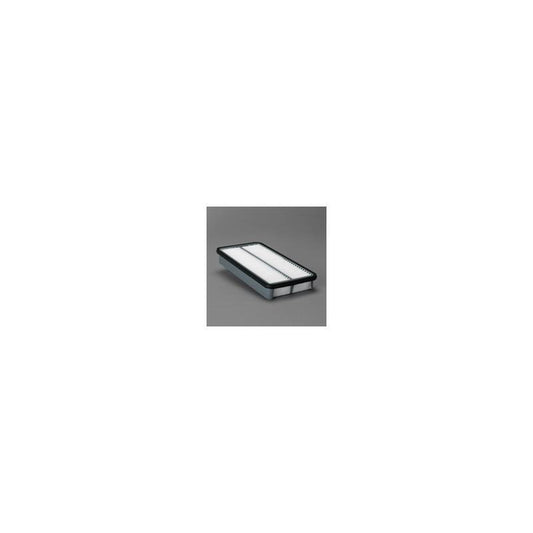 Donaldson P607332 Air Filter