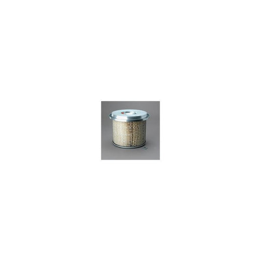 Donaldson P607279 Air Filter