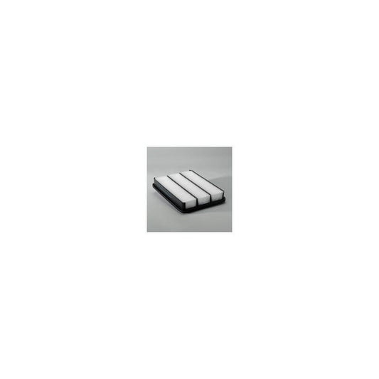 Donaldson P607257 Air Filter